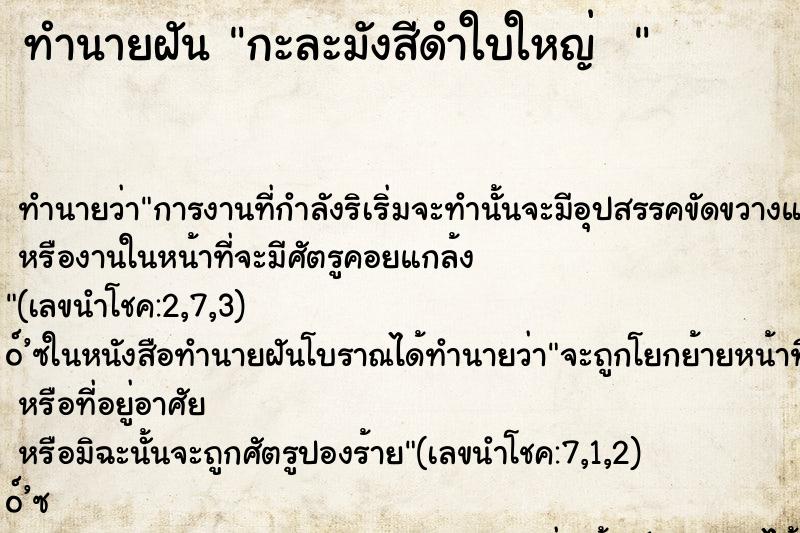 ทำนายฝันทำนายฝันกะละมังสีดำใบใหญ่